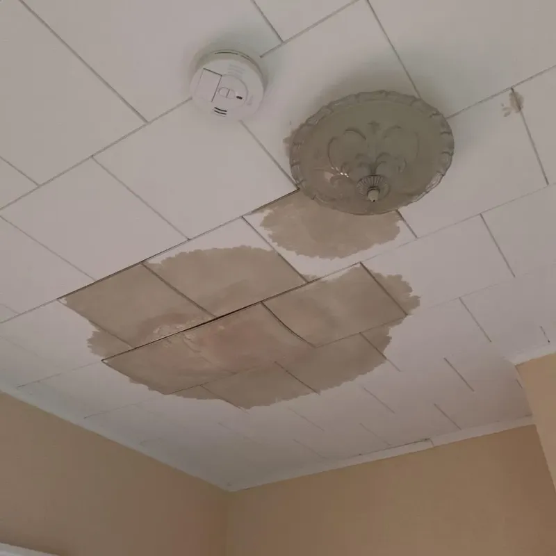 Ceiling Water Damage Repair in Fulda, MN