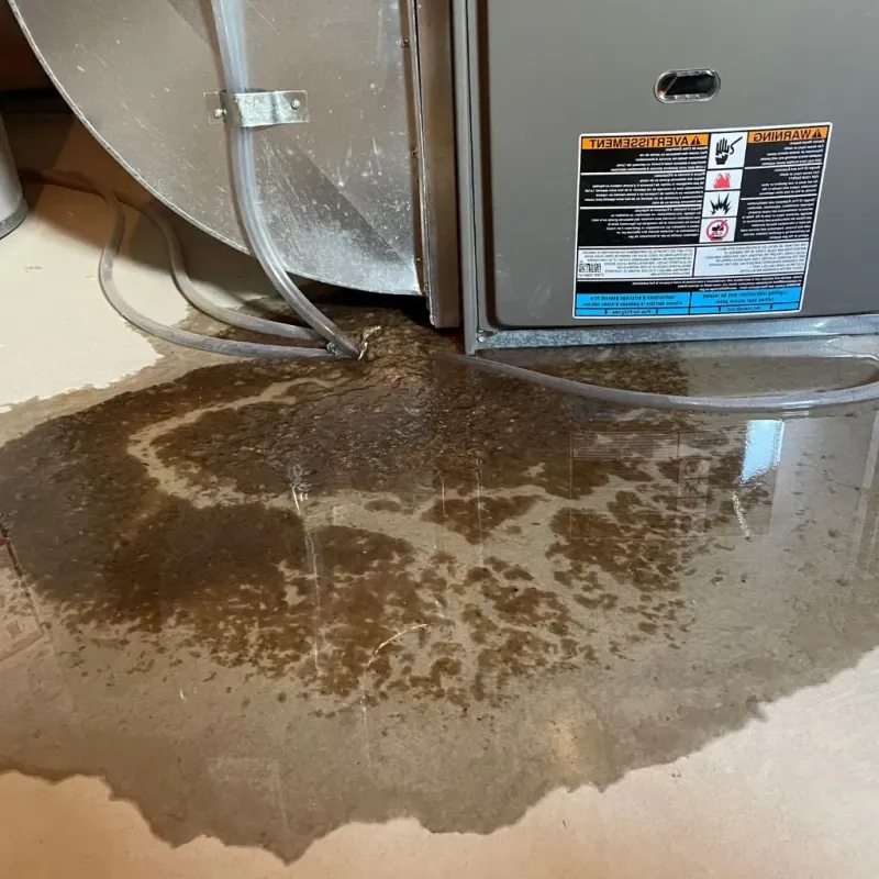 Pipe Burst and Leak Restoration in Fulda, MN